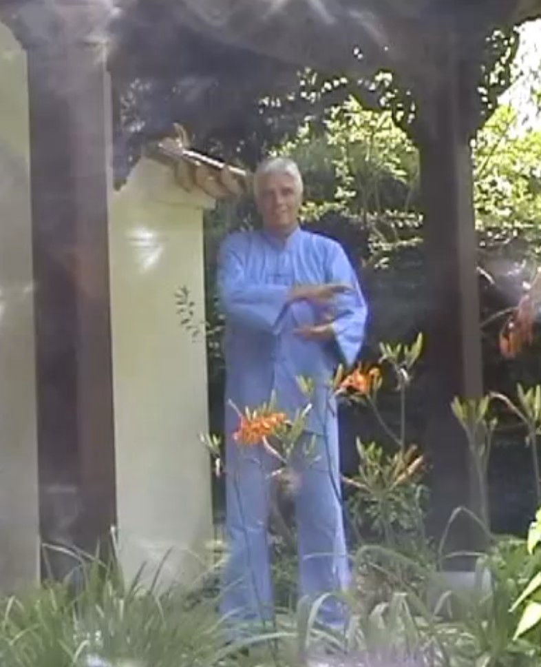 Thomas Seis practicing Pan Gu Shen Gong
